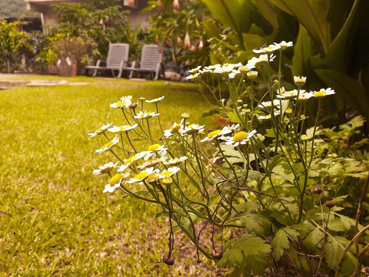 Boquete Town Hostal Bagian luar foto